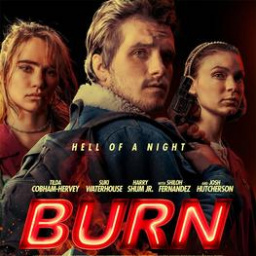 Movies You Should Watch If You Like Burn (2019)