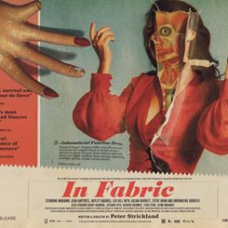 Movies to Watch If You Like in Fabric (2018)