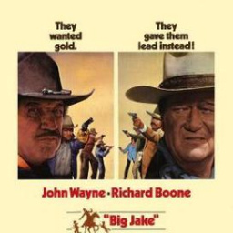 Movies to Watch If You Like Big Jake (1971)