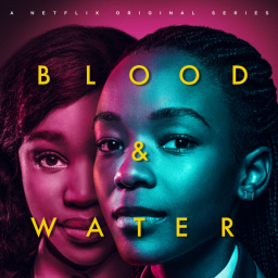 Tv Shows Like Blood & Water (2020)