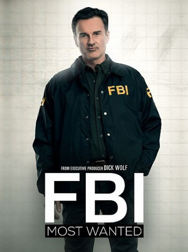 FBI: Most Wanted (2020) - Tv Shows You Would Like to Watch If You Like FBI (2018)