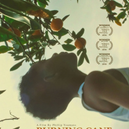 More Movies Like Burning Cane (2019)