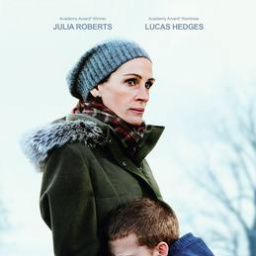 Movies You Would Like to Watch If You Like Ben Is Back (2018)