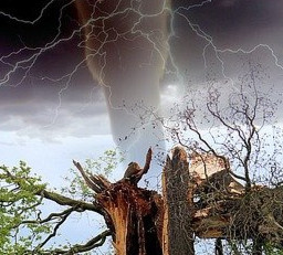 Самые невезучие люди планеты