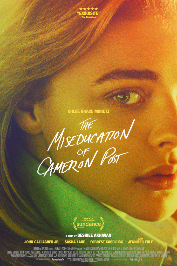 Movies Like the Miseducation of Cameron Post (2018)