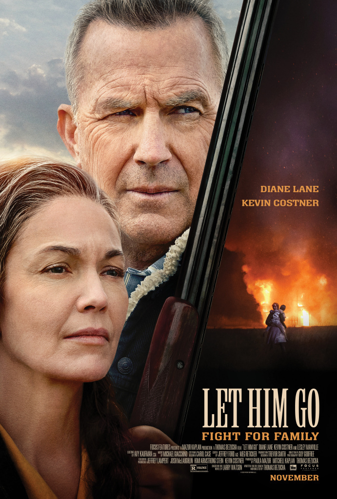 Movies You Would Like to Watch If You Like Let Him Go (2020)