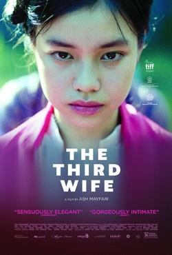 Movies Similar to the Third Wife (2018)