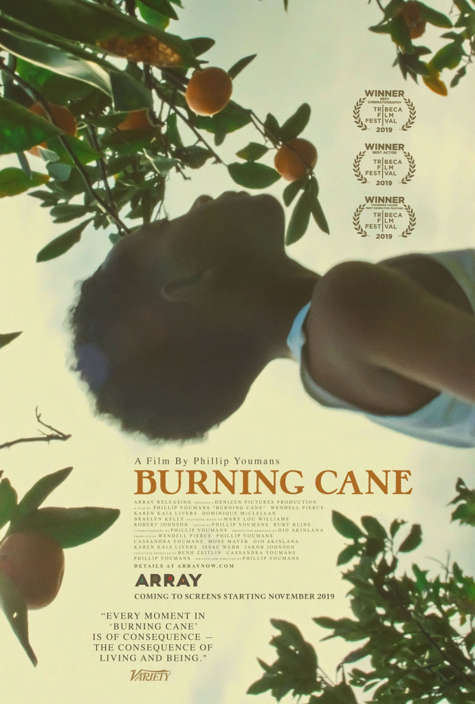 More Movies Like Burning Cane (2019)