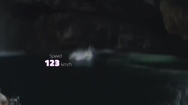 Прыжок в воду со скоростью 123 км/ч - Самые безбашенные прыжки