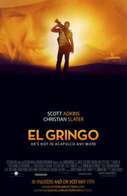 El Gringo (2012) - Movies Most Similar to Seized (2020)