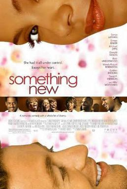 Something New (2006) - Movies You Would Like to Watch If You Like Hooking Up (2020)