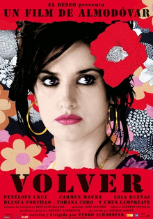 Volver (2006) - Movies You Would Like to Watch If You Like Pain and Glory (2019)