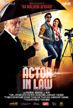 Actor in Law (2016) - Movies to Watch If You Like Na Maloom Afraad 2 (2017)