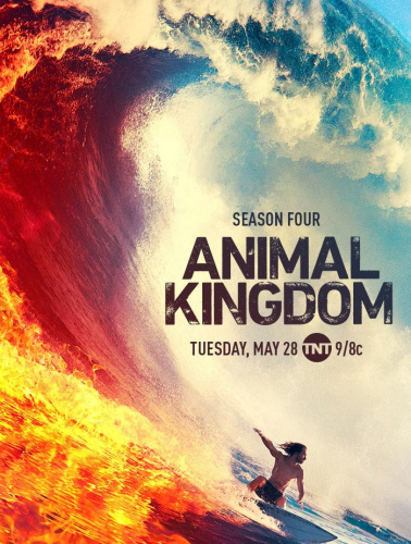 Animal Kingdom (2016) - Tv Shows Similar to Reef Break (2019 - 2019)