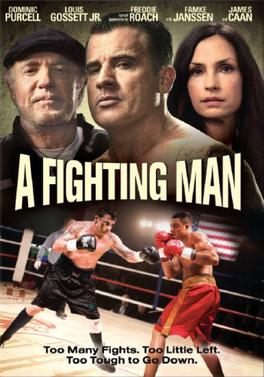 A Fighting Man (2014) - Movies You Should Watch If You Like Kansas City Bomber (1972)