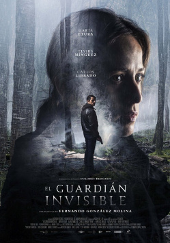 The Invisible Guardian (2017) - Movies Most Similar to Offering to the Storm (2020)